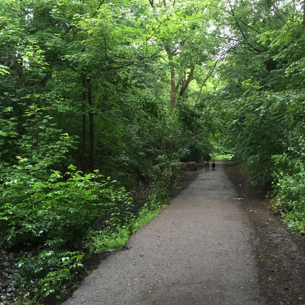 Sam__Thomson's tweet photo. Dog Walkers at #Badocks #Woods @bristolparkhive #parks #Bristol http://t.co/8Se5gcgLuX