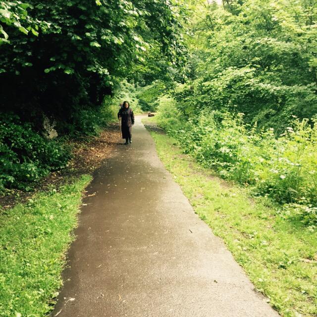 Sam__Thomson's tweet photo. Dog Walkers at #Badocks #Woods @bristolparkhive #parks #Bristol http://t.co/8Se5gcgLuX