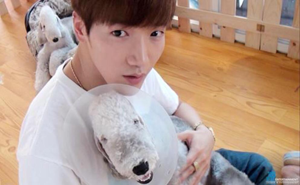 埋め込み画像への固定リンク