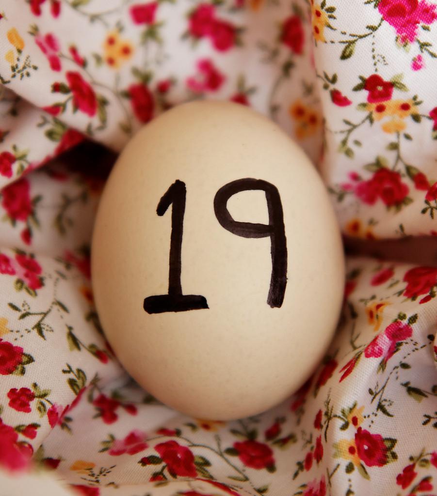 IncubatorsFS's tweet photo. If you put your #eggs into your #incubator on 3rd June:today is day 19, you have jobs to do. #chicks are nearly here. http://t.co/vIFgfgRZTG