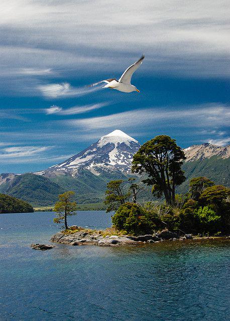 zulminale's tweet photo. Patagonia Argentina http://t.co/JuPKOJ4iwj