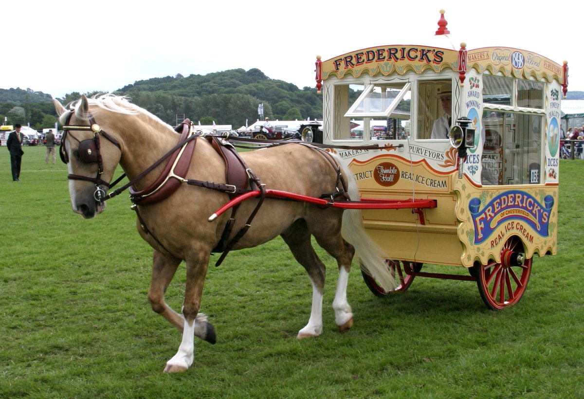 3rd July is final day for online entries for anyone wishing to exhibit horses at Bakewell Show bakewellshow.org/exhibitors/