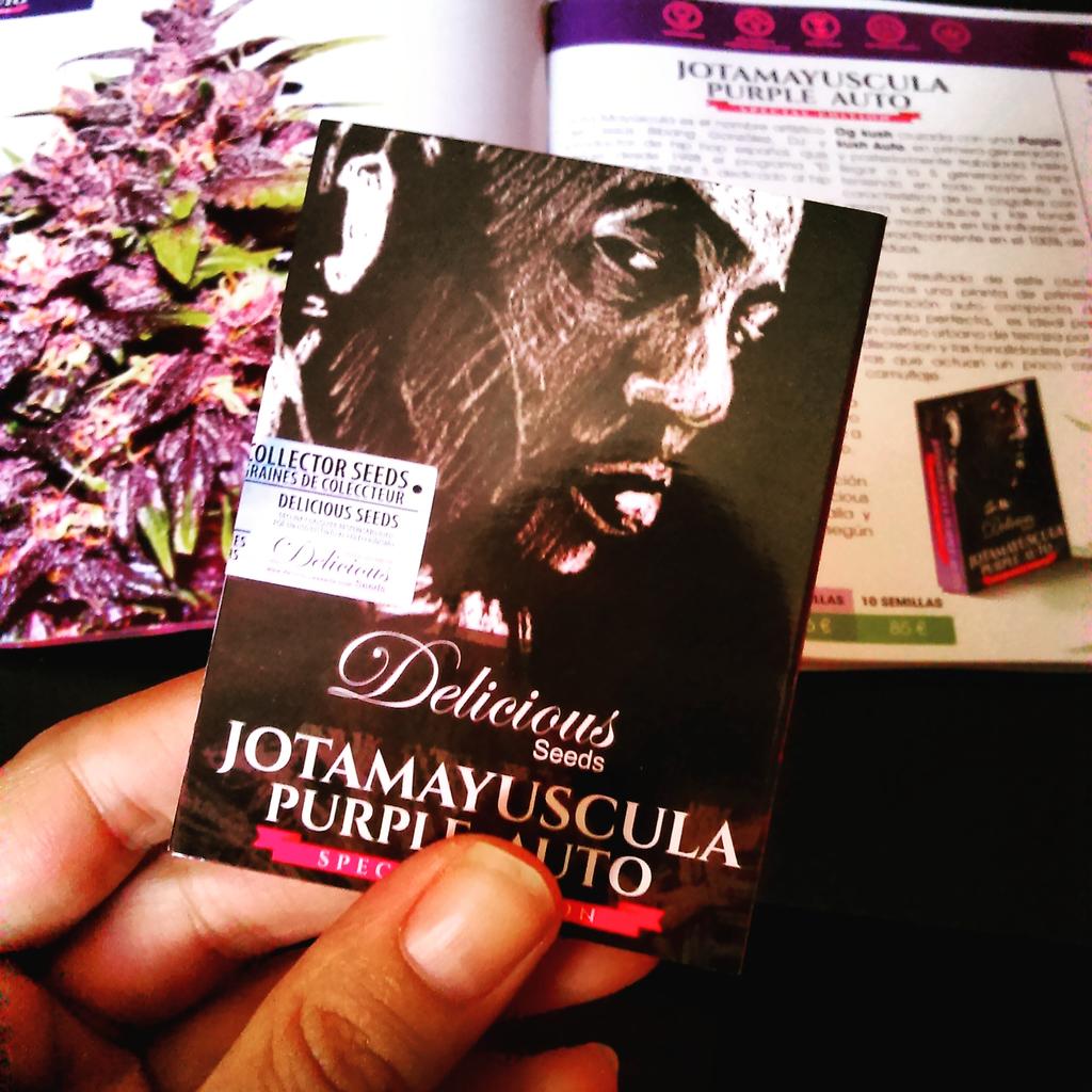Csc_Selektum's tweet photo. Semillas #AutoPurple @jotamayuscula d @DeliciousSeeds #EdiciónLimitada, te vas a quedar sin probarla? DISPONIBLES! http://t.co/LWVbLKRvLS