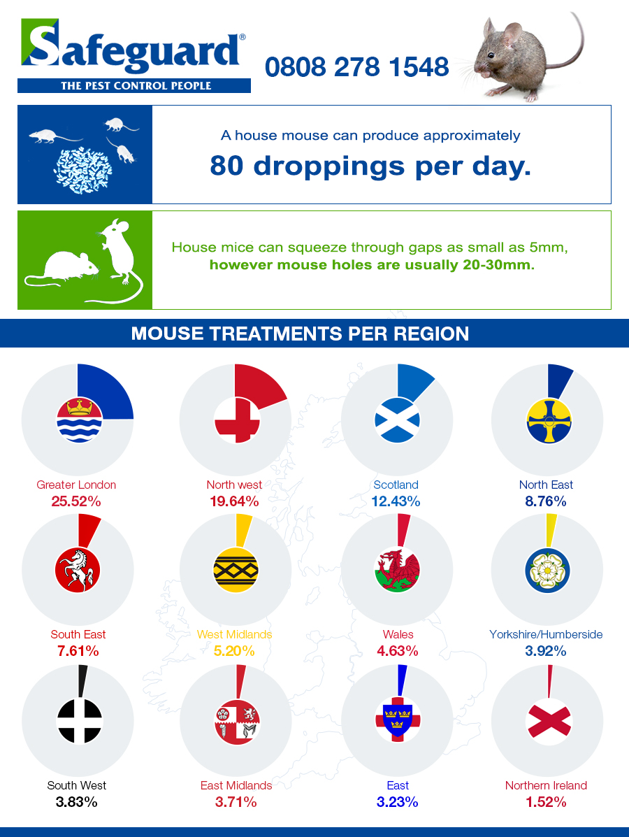 While not as notorious as rats, mice are an increasing problem in UK households and businesses.