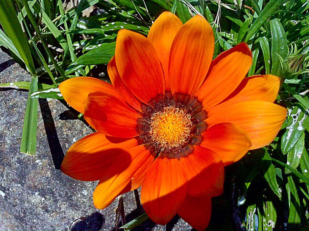 EnandiLucia's tweet photo. Un solare buon Giorno http://t.co/ipeyMoYtRp