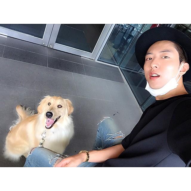 埋め込み画像への固定リンク