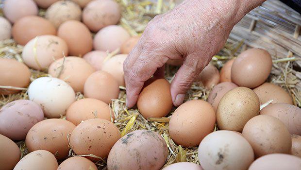 İstanbul'da bir ilk
tuzlagundem.net/yeryuzu-pazari…