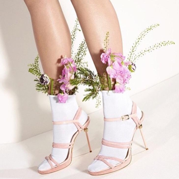 quirkyflorist's tweet photo. Morning Monday summertime! #socktime @pleasemagazine http://t.co/vp9ys5BxQS