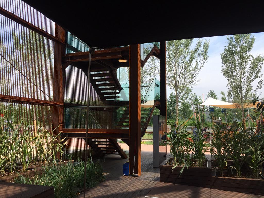 expostmilano's tweet photo. Una mattina a @Expo2015Milano nel padiglione del Brasile, fra piante, semi e pietanze tutte da scoprire @ApexBrasil http://t.co/nEcQpPAMhm