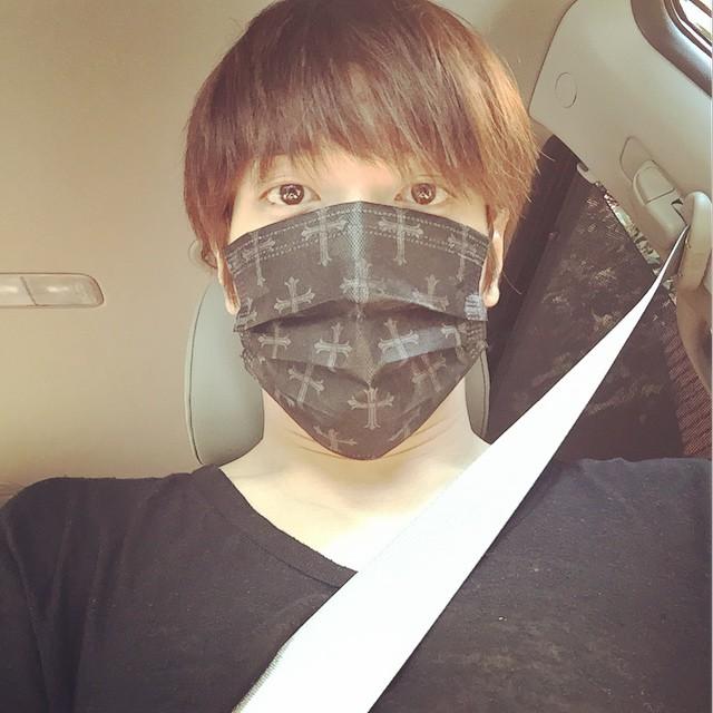 埋め込み画像への固定リンク