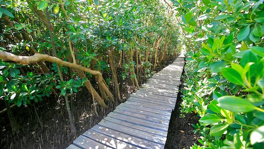 MACE_Lab's tweet image. Dr Deborah Robertson-Andersson invites you to her marine talk@Beachwood Nature Reserve(13Jul2015@10am) #MACElab