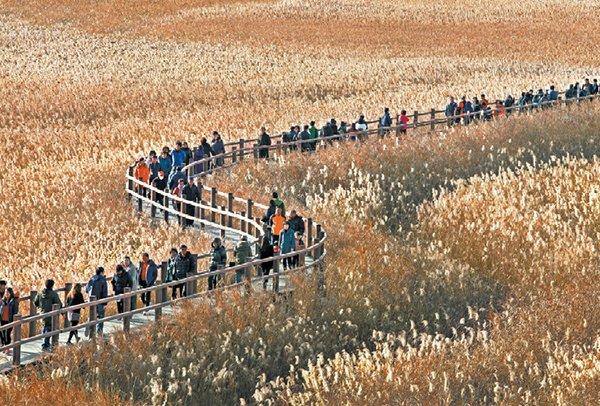 TravelTeaching's tweet photo. Sucheon Bay, Korea.

#Korea #SouthKorea #Travel #Asia #Traveling #TeachingTravel http://t.co/NEgBvEzqHa