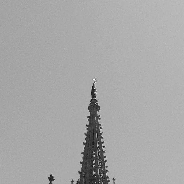 Muchos Gaudi, muchos calamari. Plenty to #love about #Barcelona

#work #trip #travel #inspiration