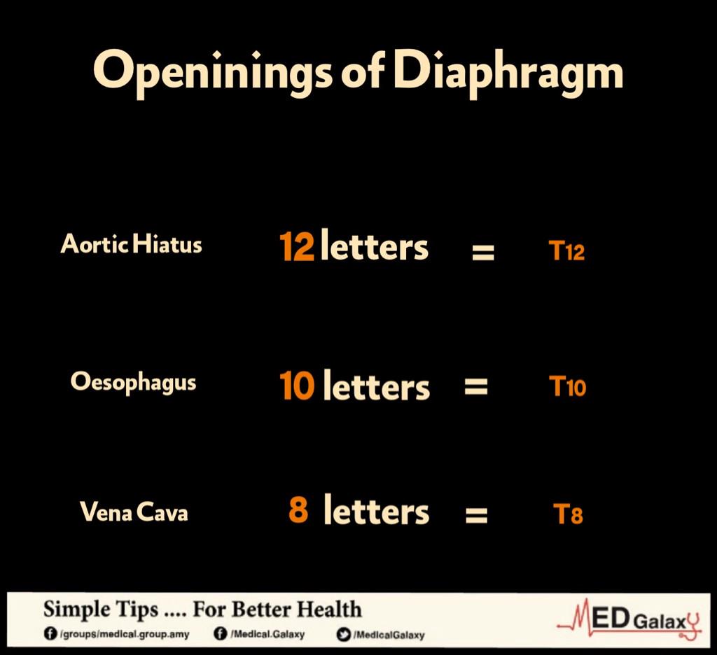 MedicalGalaxy's tweet photo. Openenings of Diaphragm #mnemonics http://t.co/jgDHmdK1Pr