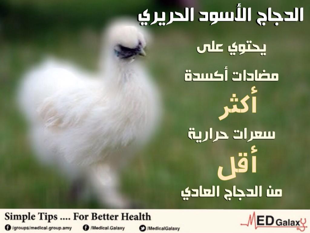 MedicalGalaxy's tweet photo. #الدجاج الأسود الحريري http://t.co/41jUhHAFfY