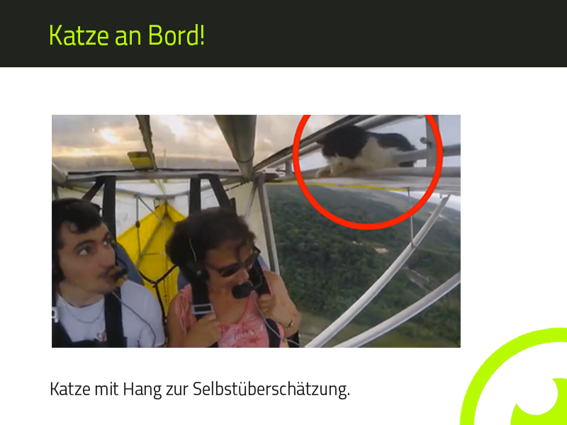 SPOTGUNapp's tweet photo. Auch nicht schlecht: Katze als blinder Passagier im Flugzeug. Hier geht's zum Video: http://t.co/84AacHOdsQ http://t.co/oq9csoIWor