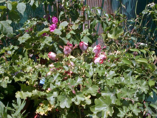 BeaornotBea's tweet photo. Tutto cio' che nutre il nostro spirito e' scritto nella pazienza con cui i contadini sanno aspettare la primavera. http://t.co/xHxKdwfDv3