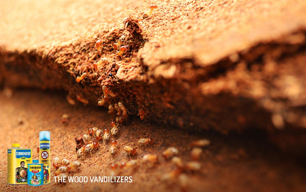 #DidYouKnow there're various types of insects that can damage your furniture. Read our post at http://t.co/1BJxtoXuDP http://t.co/VIUC94Xbfq