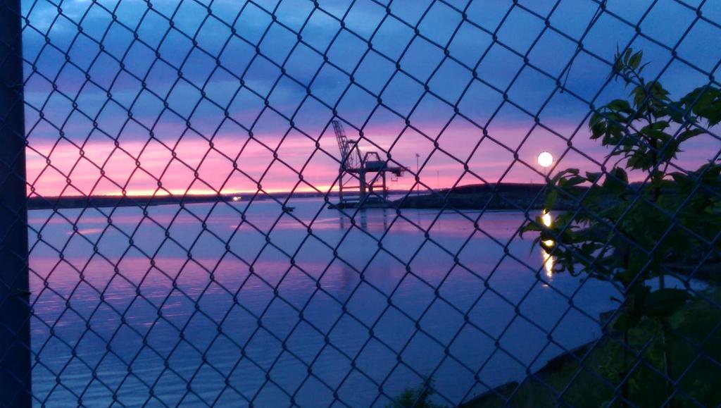 ArchieMacau's tweet image. Caged beauty.....