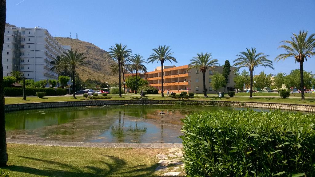 Cheer_Chick_96's tweet image. Awesome holiday in Mallorca /Alcudia