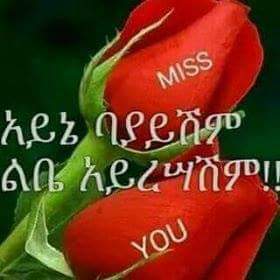 nff74685's tweet photo. @cbaa169 http://t.co/pAXfeR772w