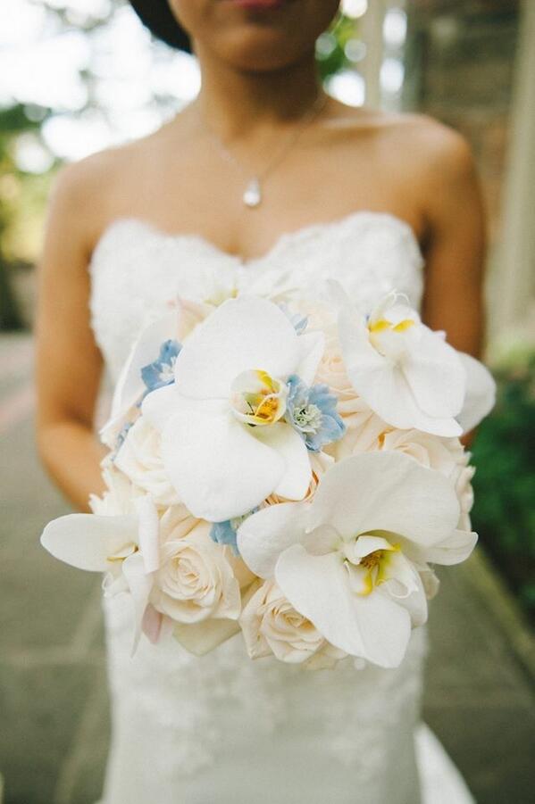 理想の結婚式 Risokekkonshiki Twitter