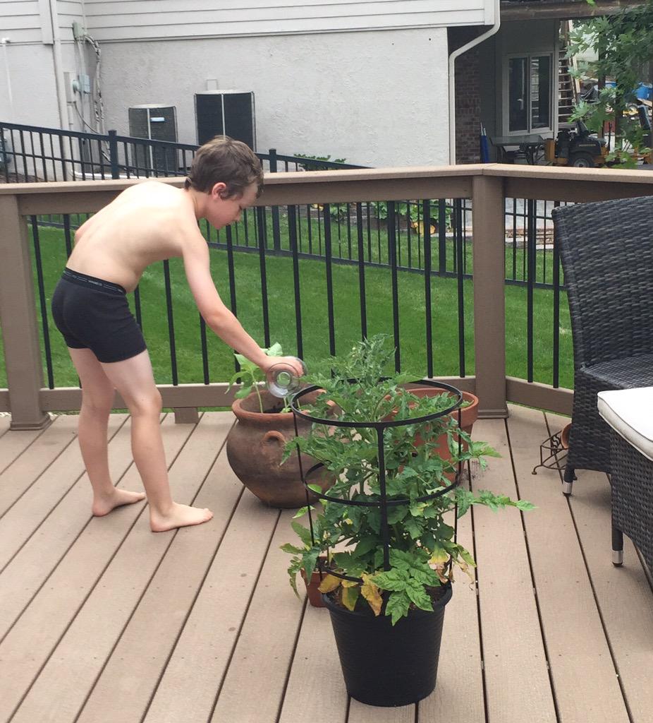LesleyBrandt's tweet image. 10 yo master gardener. In his underwear. #notmodest #hilarious