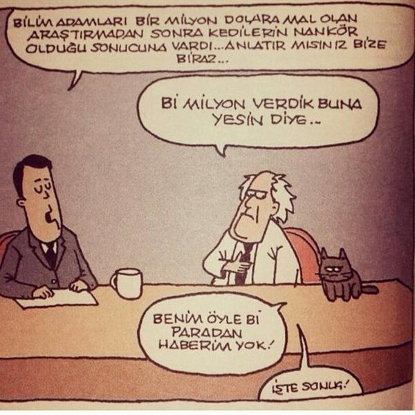 voiceofworldco's tweet photo. http://t.co/wewst6MiRe