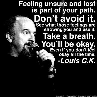 Louis C.K. Quote: “Sorry – Americans only buy things that come from  suffering. They just enjoy it more when they know someone's getting hur”