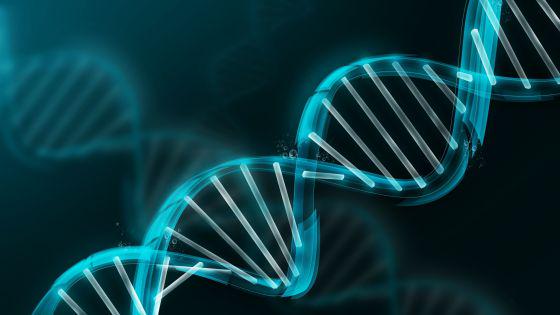 materia_ciencia's tweet photo. Una huella de la metástasis señala el punto de origen del cáncer. http://t.co/qwfjxzkxW3 http://t.co/wpBM5pm7jf