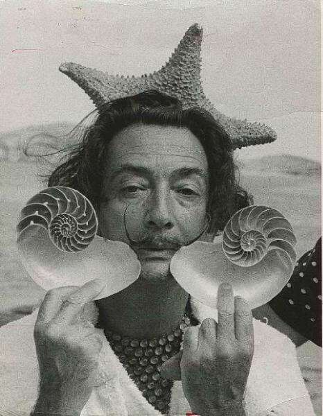 bolthouseprod's tweet photo. 🐚 @thebungalowsm @thebungalowhb http://t.co/jzzpvjqT95