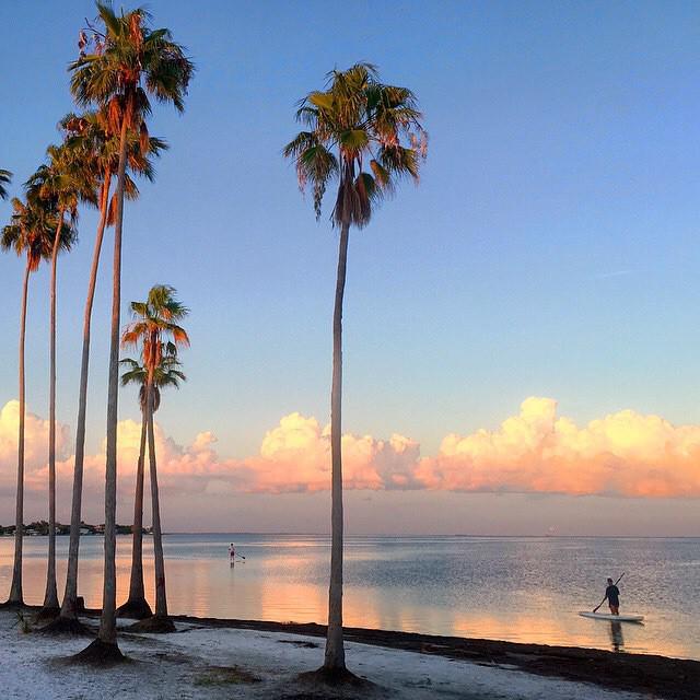 VISITFLORIDA's tweet photo. Paddlerboarders in Tampa Bay #LoveFL http://t.co/N77HO7xS4P http://t.co/QRmjhNAFBk