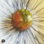 Photo by Stag Dining (@StagDining)