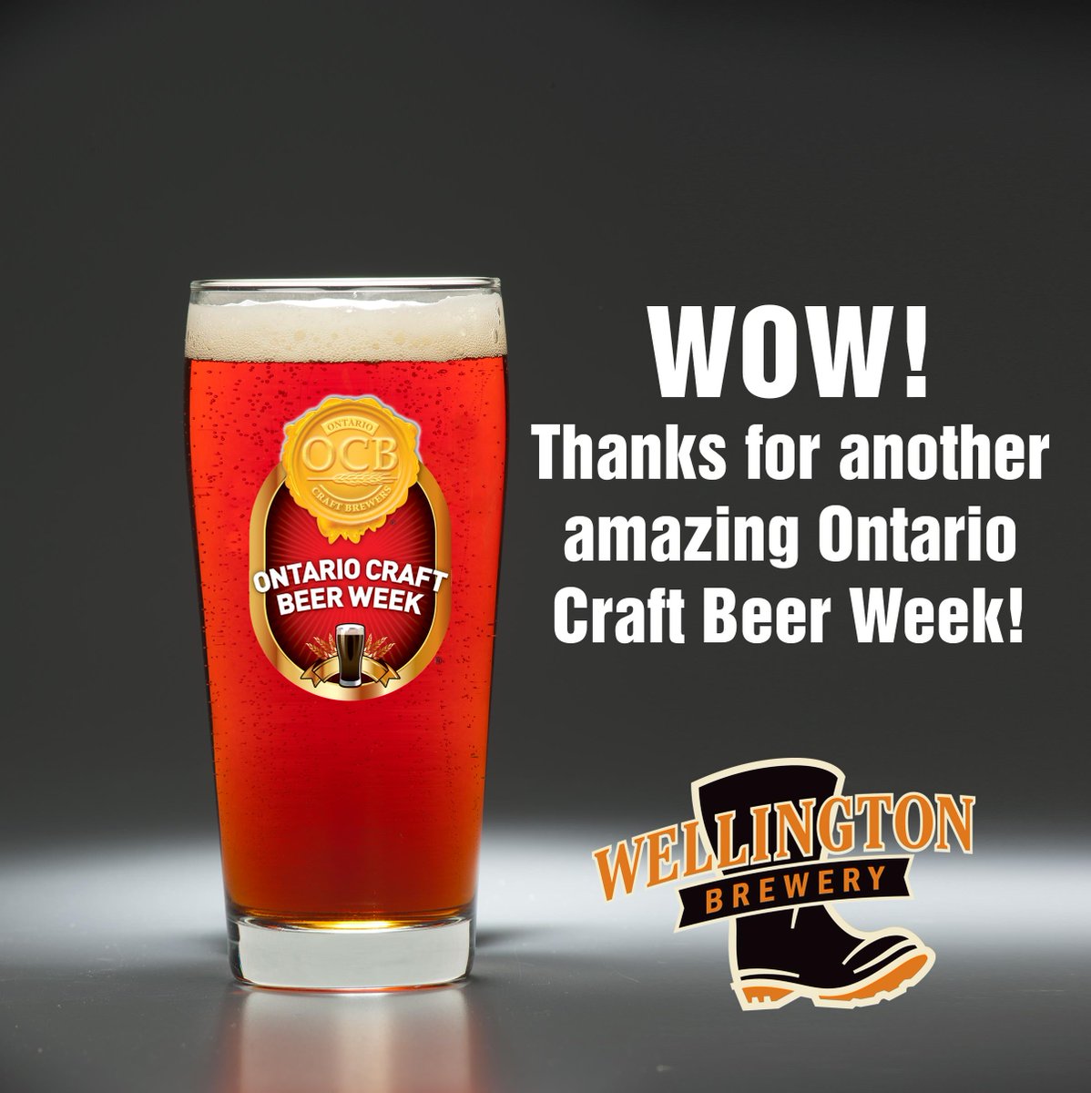 WellingtonBrew's tweet photo. Ontario craft beer rules! Thanks to everyone who made #OCBWeek15 the best yet! @OntCraftBrewers http://t.co/PRLxbrZ0hc