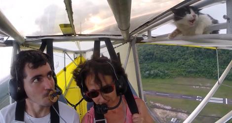 cities97radio's tweet photo. WATCH: This pilot should probably add 'Check for Cats' to his pre-flight checklist! http://t.co/78nFdd6blP #CatFlight http://t.co/C0oeh0ESH5