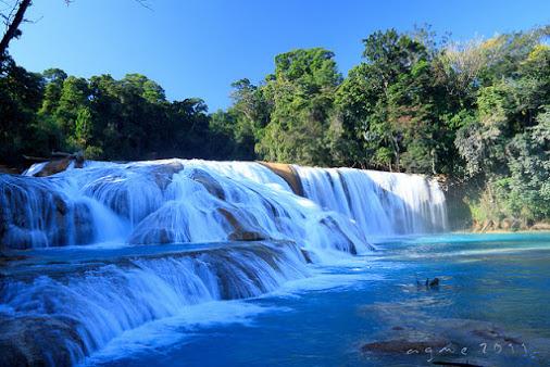 ViajandoxMX's tweet photo. Cascadas de #AguaAzul: ¿las más bellas del país? #Chiapas #México https://t.co/kcBIXkxSlL http://t.co/qmhPiuYpr4