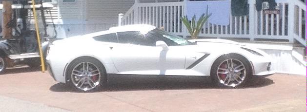 This is what I saw in myrtle beach in Lakewood. Thanks to my aunt.karen for letting us stay at her beach house!!! ☺️