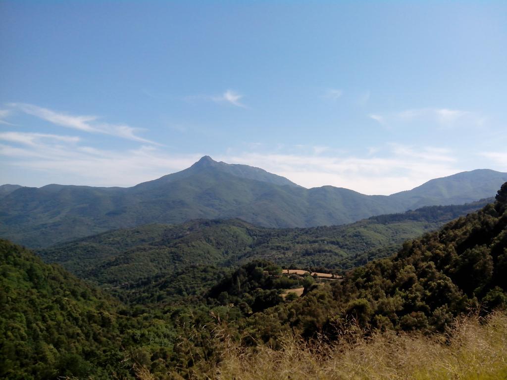 ramacabici's tweet photo. Amb calor el cos respon al 100%. Pujant #ColldeRevell #Montseny #Massi http://t.co/4mCZKVAqoY