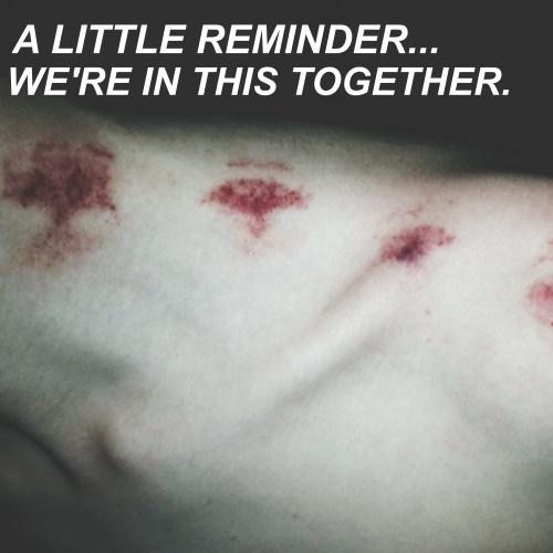 ( #EliKai &amp; <a href="/HxlfBreed/">Nikolai.</a>. )