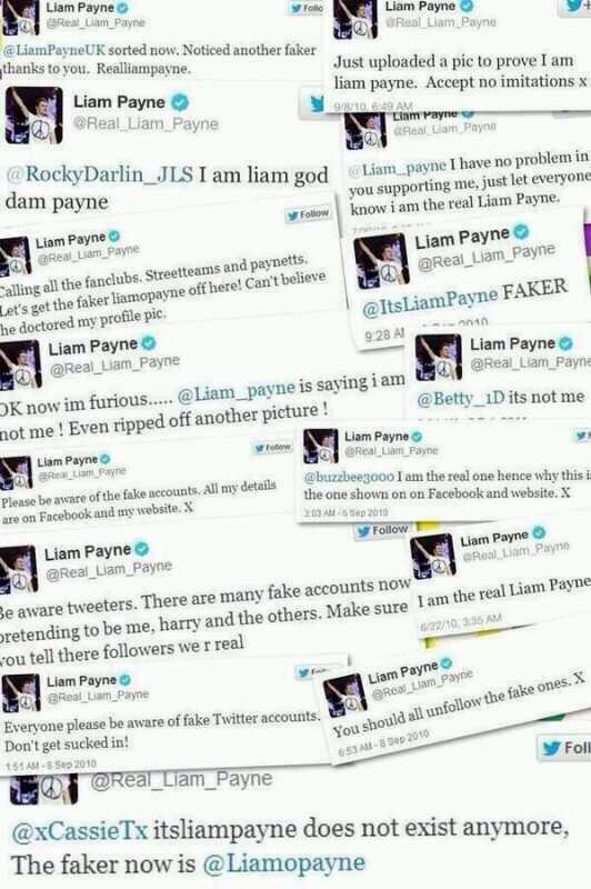 REMEMBER WHEN LIAM JOINED TWITTER AND SPENT 2010 CALLING OUT FAKES #WhenIJo...