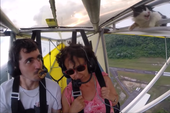 DavidGRichard's tweet photo. There are Wing Men, then there are Wing Cats... video: http://t.co/v9iXwbeflP @ThomasHEdwards #WhenCatsFly http://t.co/WTbKhgR2UO