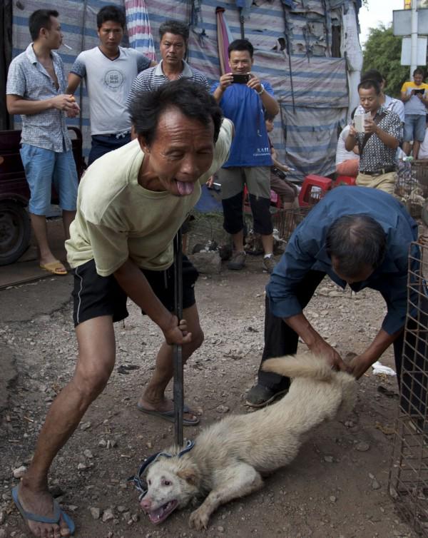 最速 中国 人 残酷 最速 中国 人 残酷