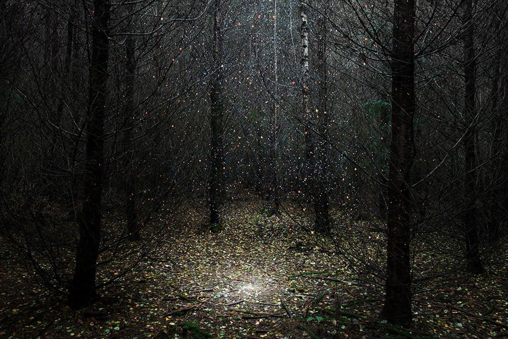 Slate's tweet photo. These forests look magical when merged with Hubble starscapes--PHOTOS. http://t.co/O0CippBmtc http://t.co/ZB1MqcQb3i