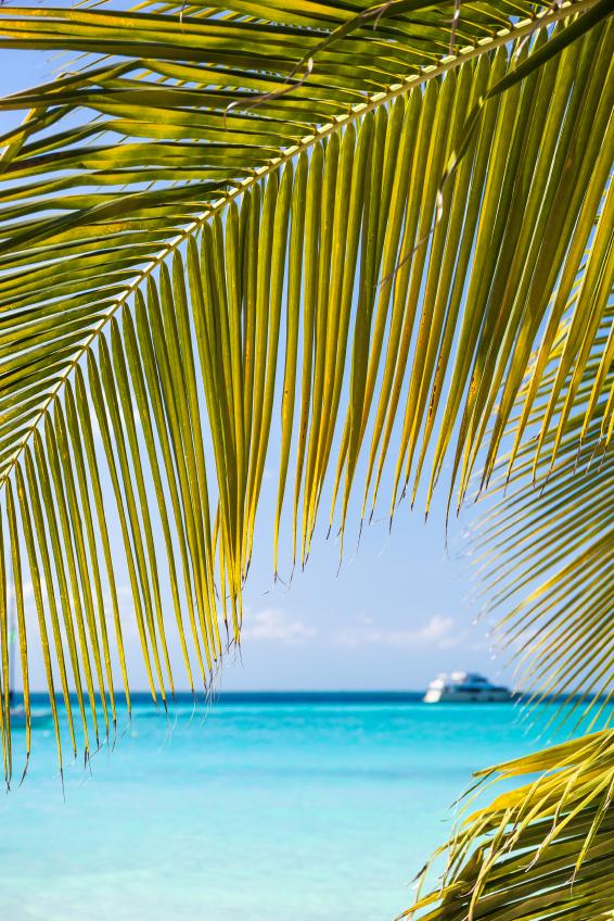 IslandCleanHome tweet picture