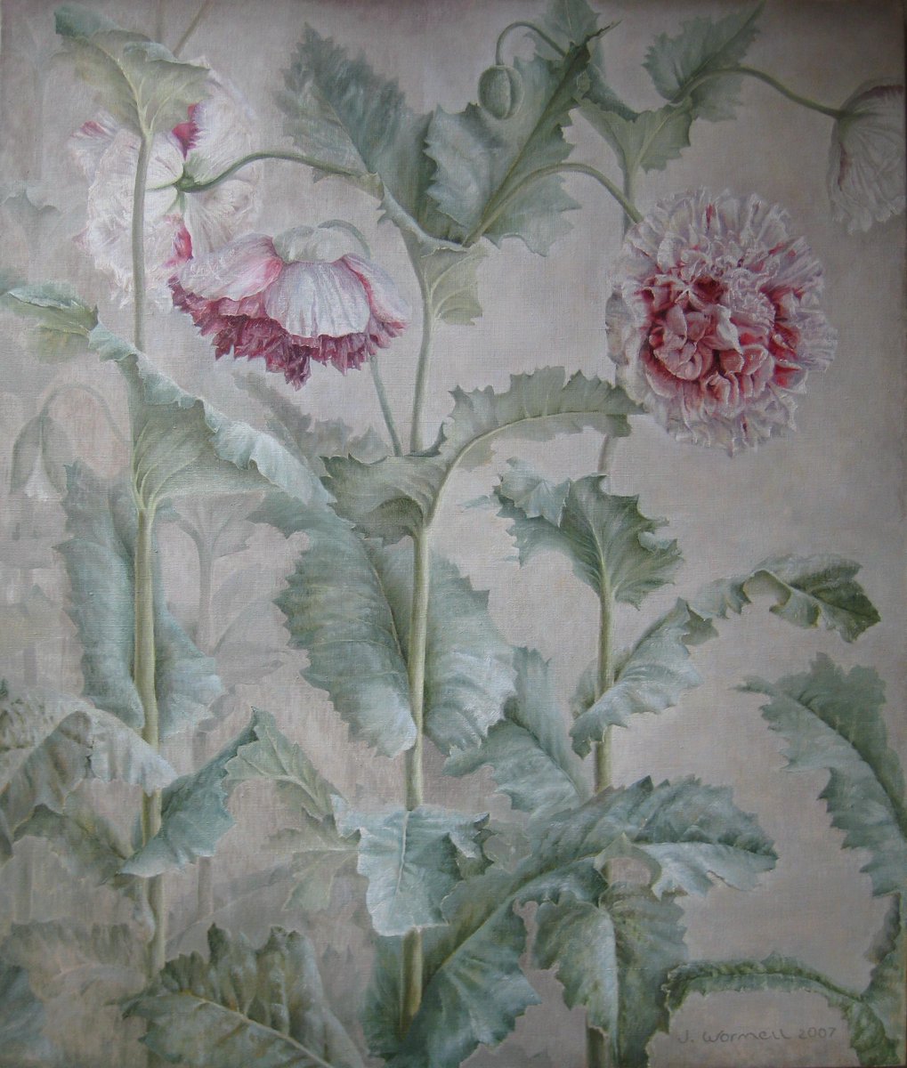 Opium Poppies #art #artist #painting #jonathancooper #flowers