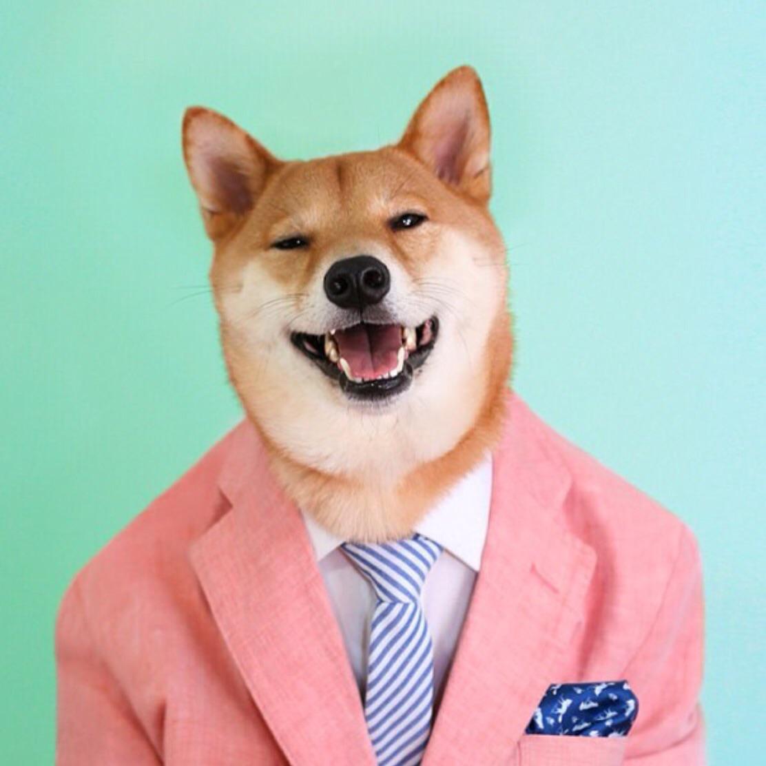 Our #MCM might be a little hairy, but he's got this #Style thing down to a science. #Woof #MensWearDog #Shiba
