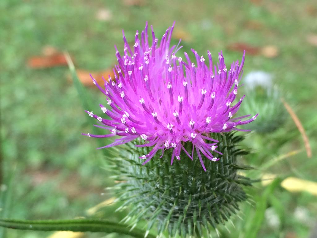 EnandiLucia's tweet photo. http://t.co/zzoIxRX3d1