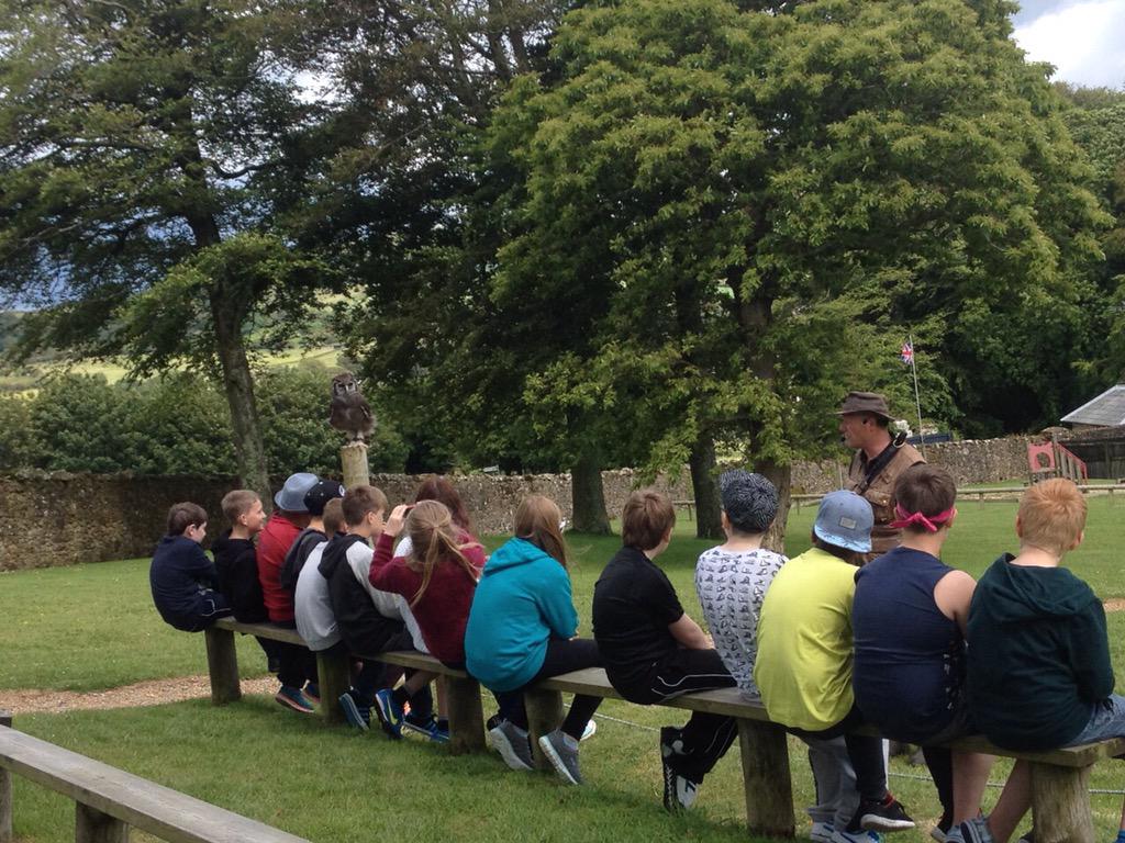 RodbourneCheney's tweet photo. Our children have arrived at the Isle of Wight! They loved the Owl and Falconry Centre and enjoyed their tractor ride http://t.co/iPhhCEvftZ