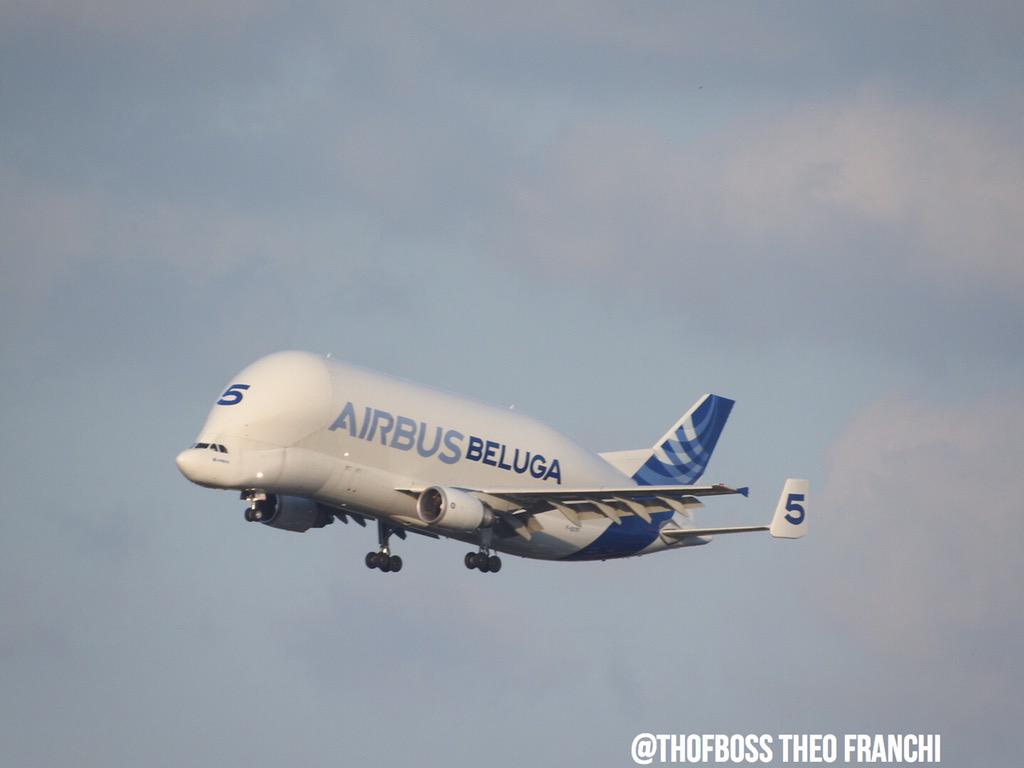THOFBOSS's tweet photo. Airbus béluga 5 #FGSTF @Airbus #avgeek from Hambourg to Toulouse http://t.co/6sz2Wkenc4