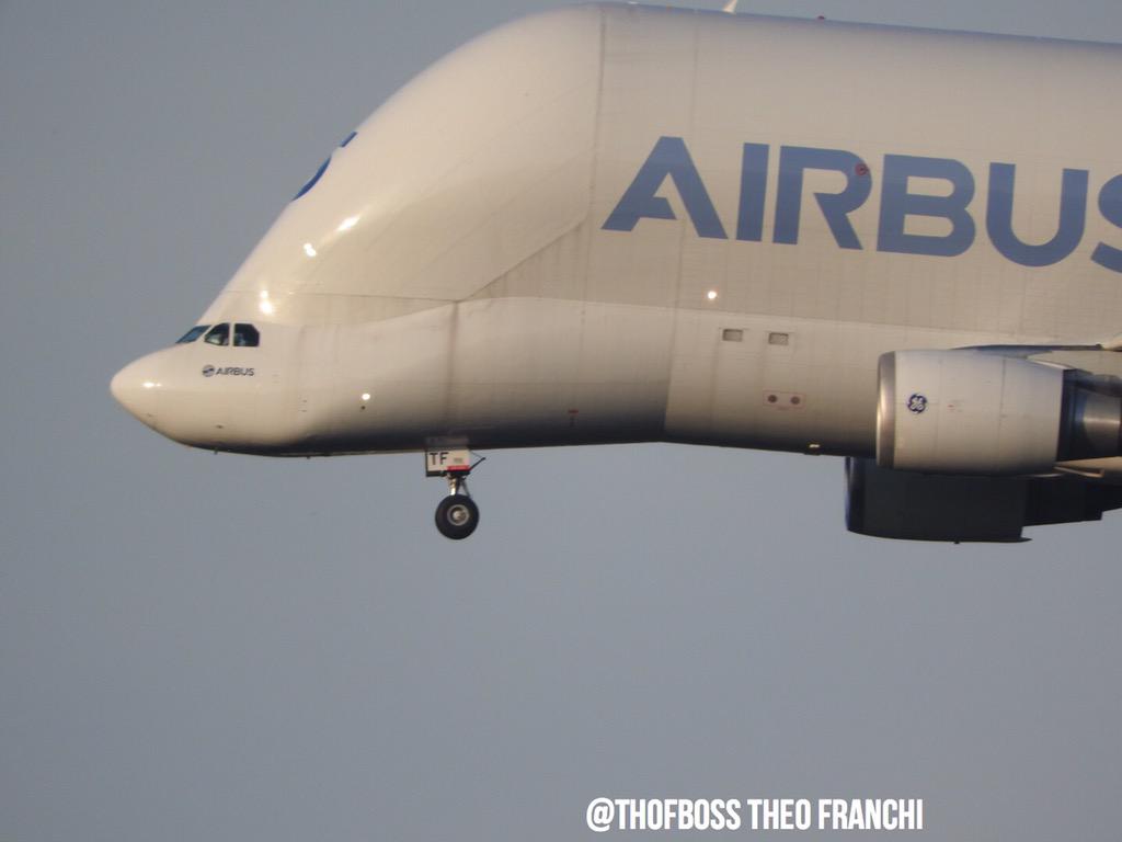 THOFBOSS's tweet photo. Airbus béluga 5 #FGSTF @Airbus #avgeek from Hambourg to Toulouse http://t.co/6sz2Wkenc4
